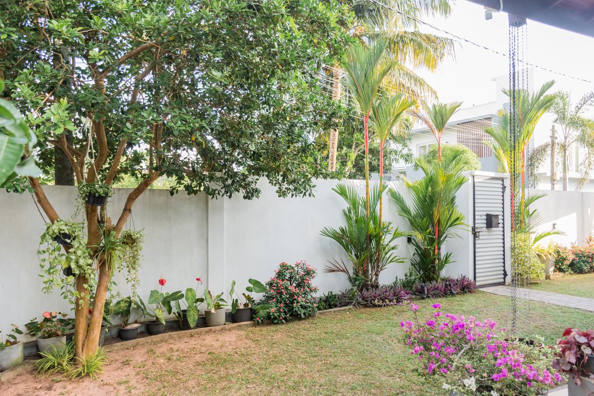 Villa garden